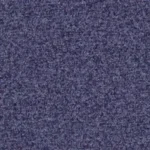 Teviot Blackcurrant